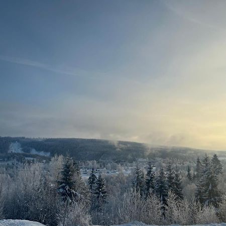 Koselig Rom I Rolige Omgivelser Amot Exteriör bild